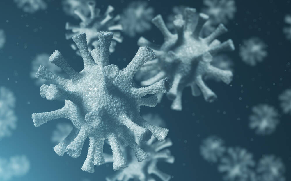 Adobe Stock 317547936