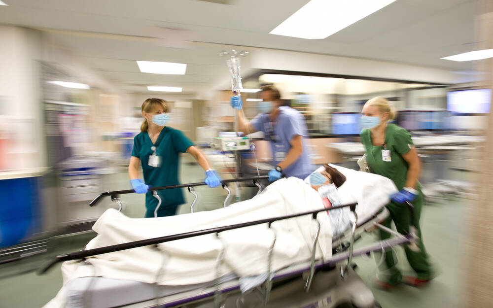 Adobe Stock 337841897