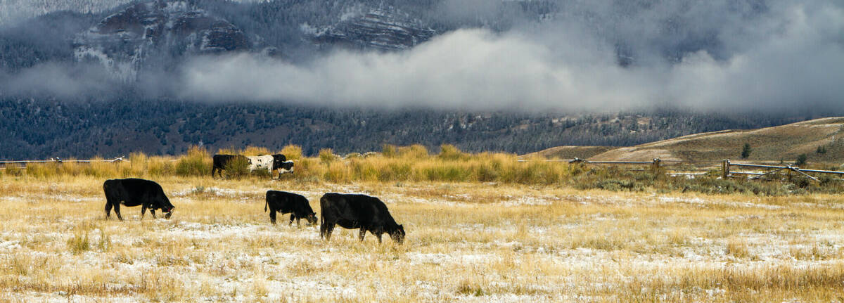 Adobe Stock 208410993